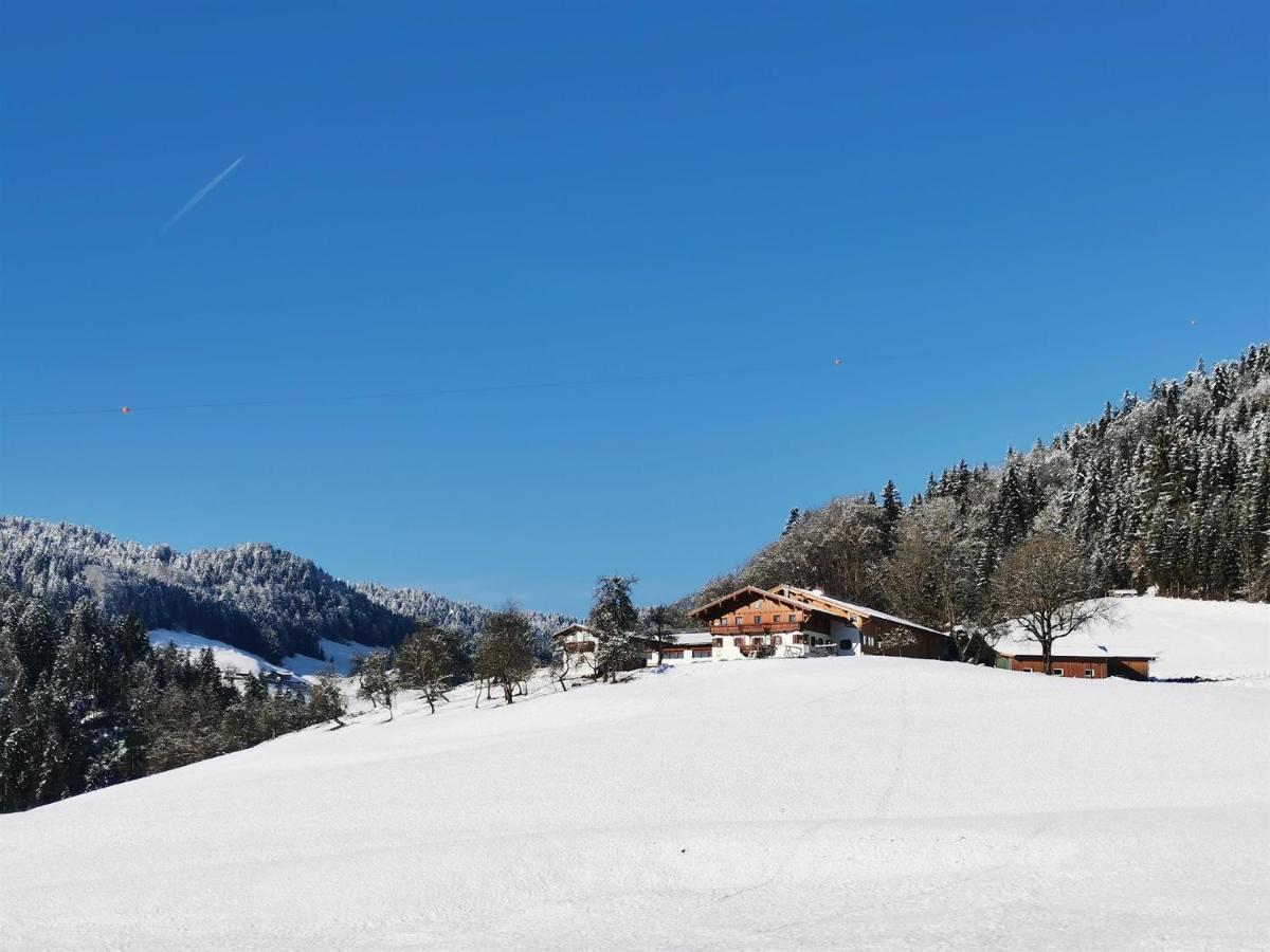 Biobauernhof Und Ferienhaus Riederbauer Rettenschöss Esterno foto