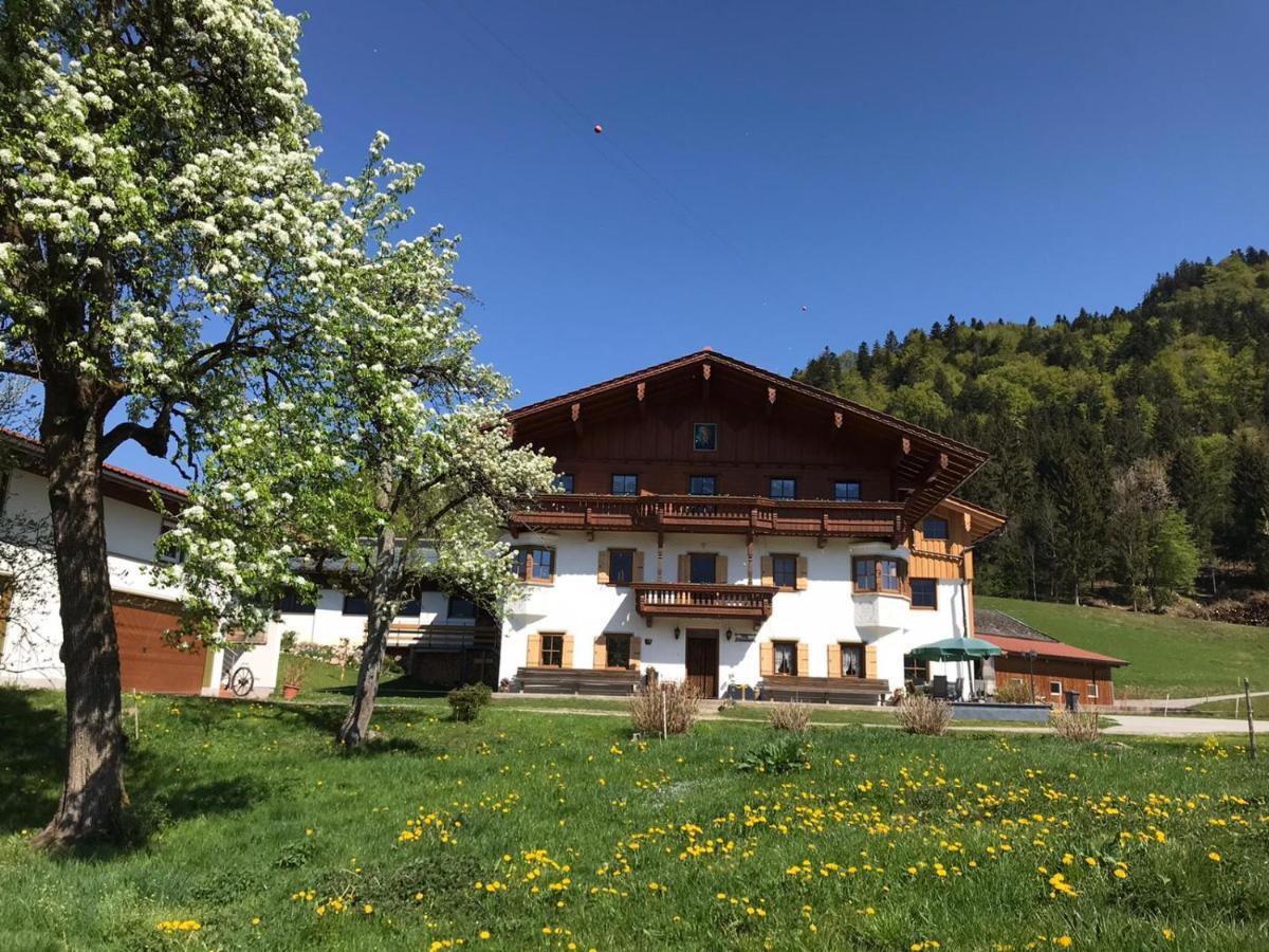 Biobauernhof Und Ferienhaus Riederbauer Rettenschöss Esterno foto