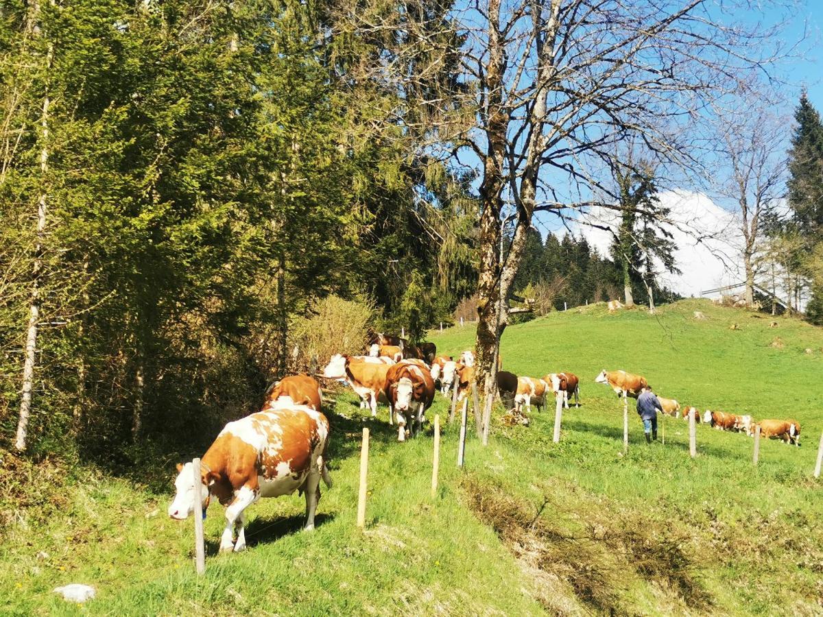 Biobauernhof Und Ferienhaus Riederbauer Rettenschöss Esterno foto