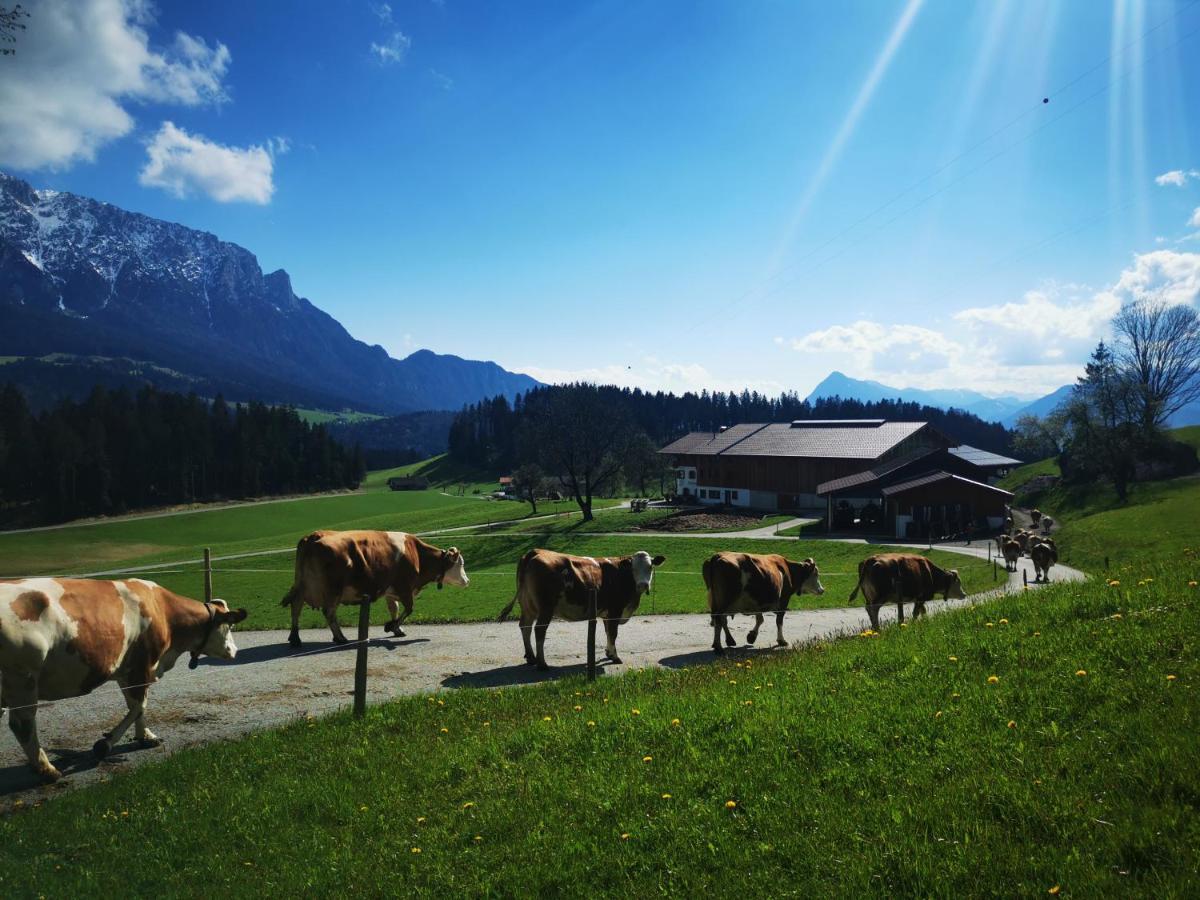 Biobauernhof Und Ferienhaus Riederbauer Rettenschöss Esterno foto