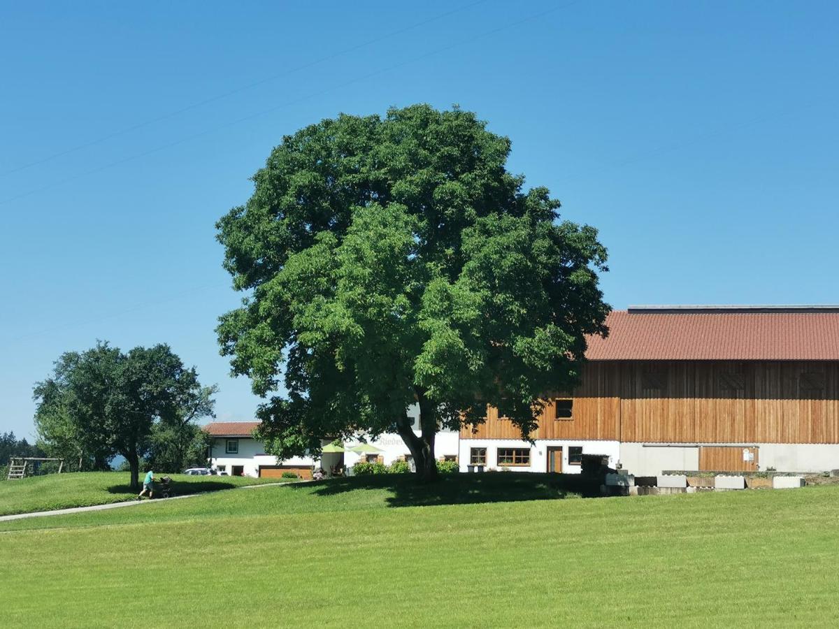 Biobauernhof Und Ferienhaus Riederbauer Rettenschöss Esterno foto