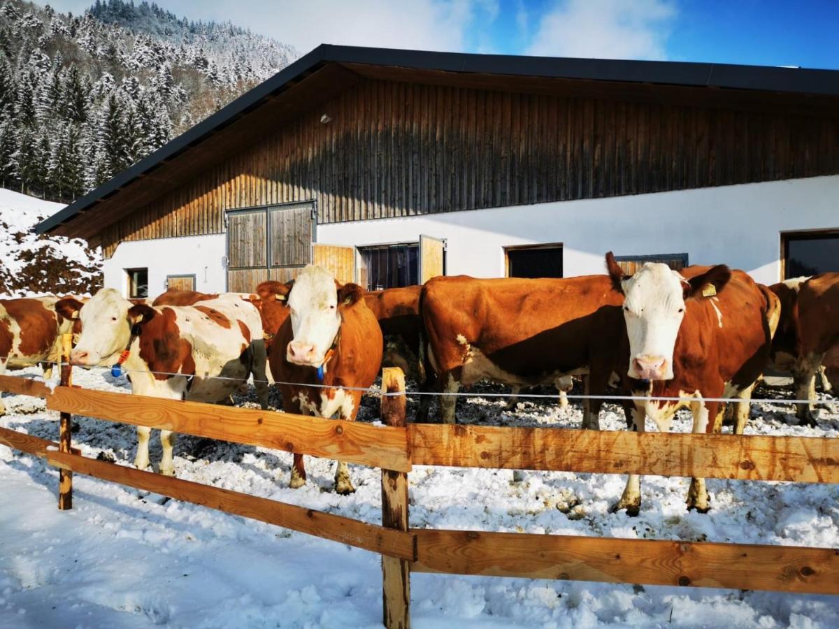 Biobauernhof Und Ferienhaus Riederbauer Rettenschöss Esterno foto