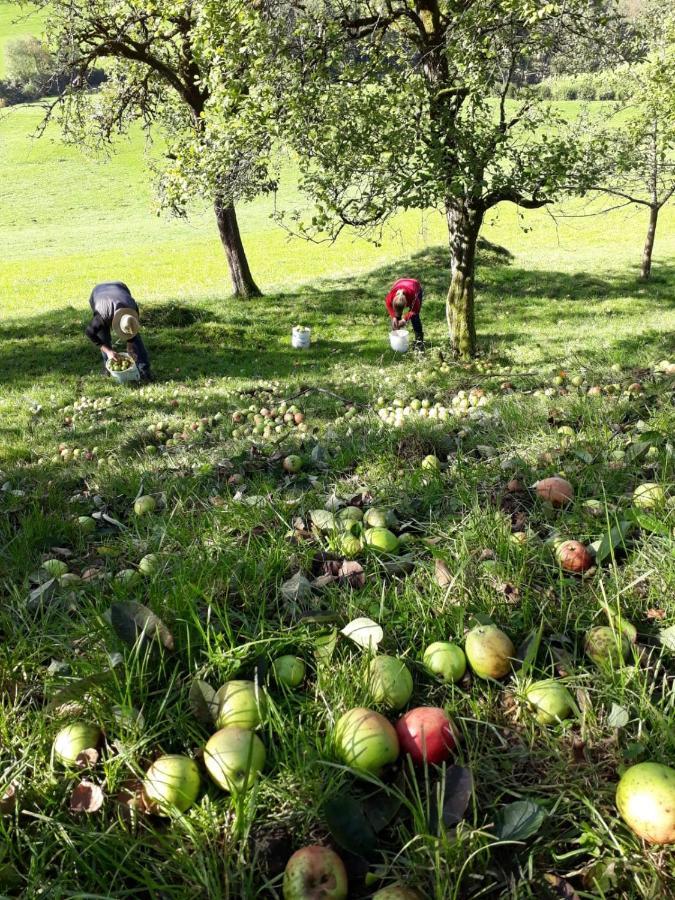 Biobauernhof Und Ferienhaus Riederbauer Rettenschöss Esterno foto
